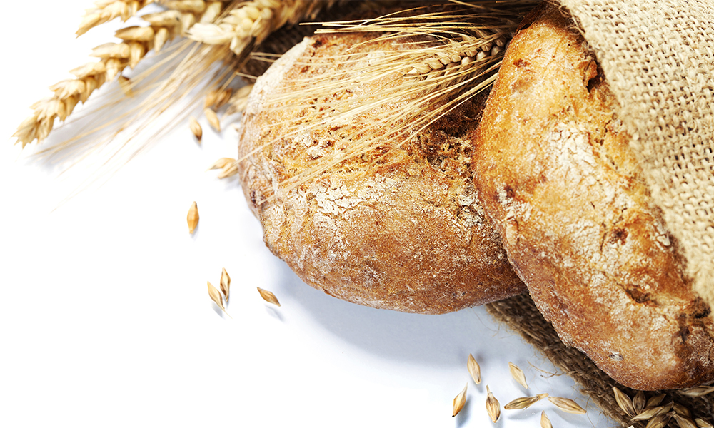 You Asked, We Answered: Bread Recommendations!